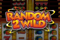 Random 2 Wild