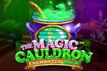 The Magic Cauldron