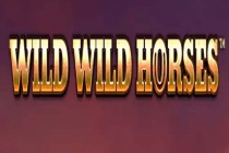 Wild Wild Horses